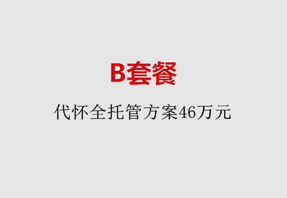 长春B套餐：代怀全托管方案46万元